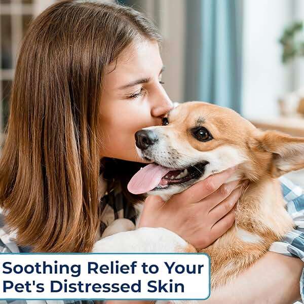 Replenish Anti Itch Dog Shampoo - Medicated Antiseptic Shampoo for Skin Irritation Treatment & Itchy Skin Relief - Dr. Rachel’s Chlorhexidine Dog Shampoo for Yeast with Cucumber Melon Scent - 8 oz - Image 2