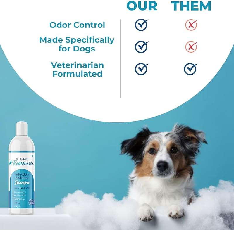 Replenish Anti Itch Dog Shampoo - Medicated Antiseptic Shampoo for Skin Irritation Treatment & Itchy Skin Relief - Dr. Rachel’s Chlorhexidine Dog Shampoo for Yeast with Cucumber Melon Scent - 8 oz - Image 3