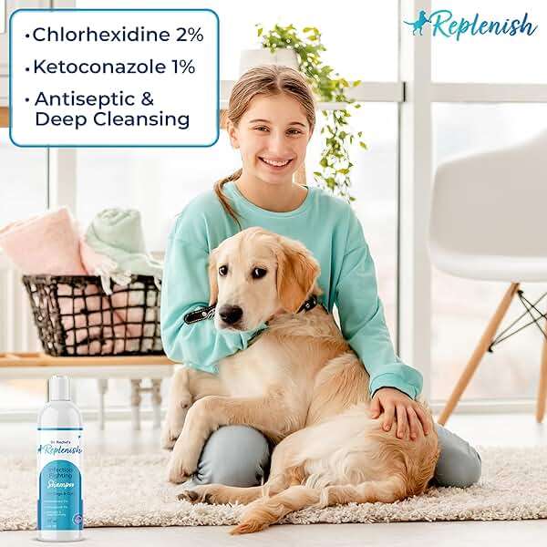 Replenish Anti Itch Dog Shampoo - Medicated Antiseptic Shampoo for Skin Irritation Treatment & Itchy Skin Relief - Dr. Rachel’s Chlorhexidine Dog Shampoo for Yeast with Cucumber Melon Scent - 8 oz - Image 4