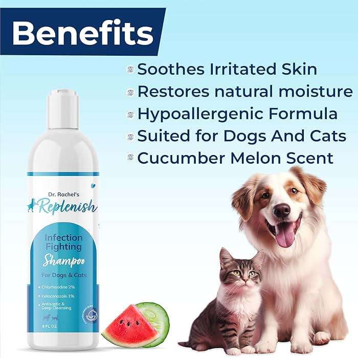Replenish Anti Itch Dog Shampoo - Medicated Antiseptic Shampoo for Skin Irritation Treatment & Itchy Skin Relief - Dr. Rachel’s Chlorhexidine Dog Shampoo for Yeast with Cucumber Melon Scent - 8 oz - Image 5
