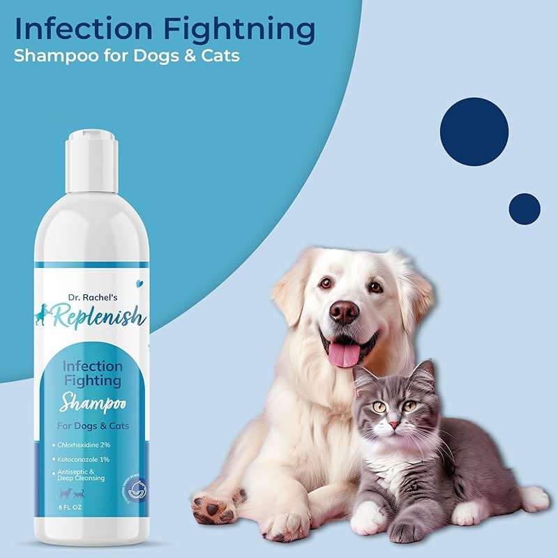 Replenish Anti Itch Dog Shampoo - Medicated Antiseptic Shampoo for Skin Irritation Treatment & Itchy Skin Relief - Dr. Rachel’s Chlorhexidine Dog Shampoo for Yeast with Cucumber Melon Scent - 8 oz - Image 6
