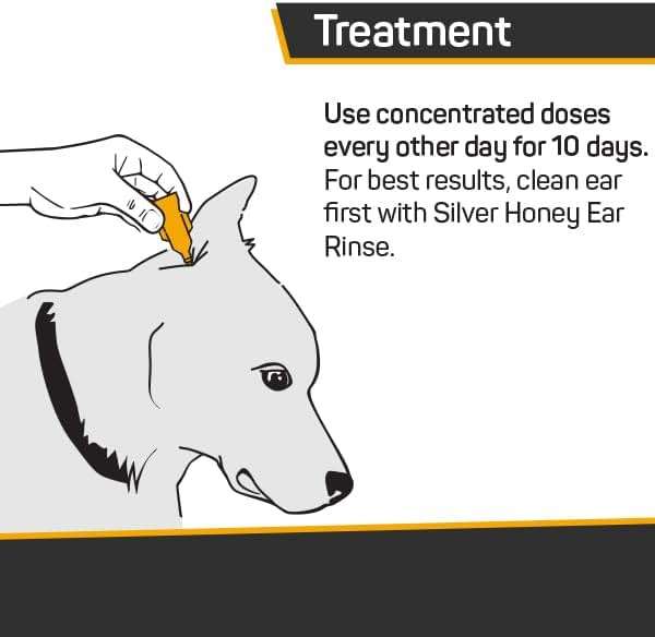 Absorbine Silver Honey Rapid Ear Care Vet Strength Concentrated Doses, 5 Ear Drops for 10 Days on 1 Ear for Dogs & Cats, Medical Grade Manuka Honey & MicroSilver BG - Image 2