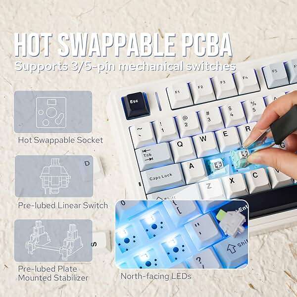 EPOMAKER x Aula F75 Gasket Mechanical Keyboard, 75% Wireless Hot Swappable Gaming Keyboard with Five-Layer Padding&Knob, BT/2.4GHz/USB-C, RGB (Light Blue, LEOBOG Reaper Switch) - Image 4