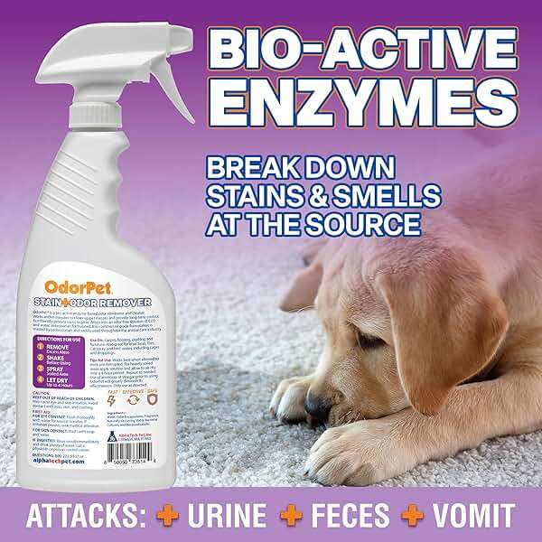 OdorPet Pet Stain Remover and Odor Eliminator - 16 Oz Ready To Use Spray, Non Staining, Professional Strength, Lavender Scent by Alpha Tech Pet - Image 3