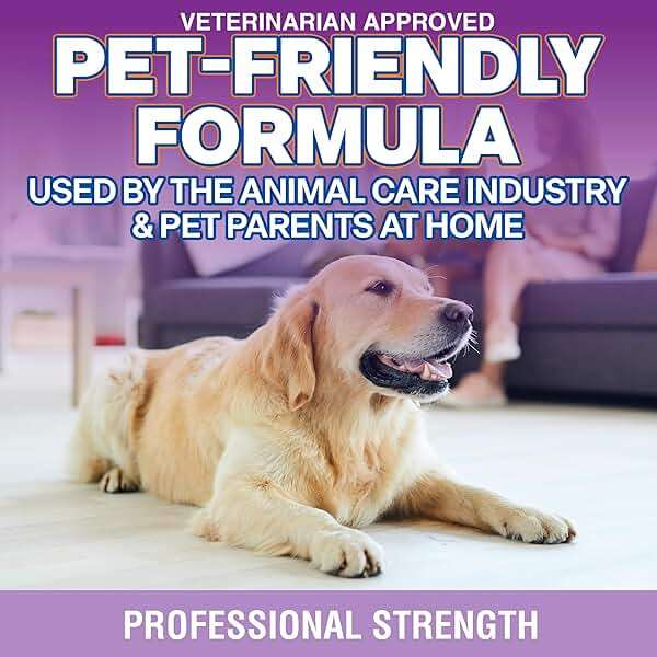 OdorPet Pet Stain Remover and Odor Eliminator - 16 Oz Ready To Use Spray, Non Staining, Professional Strength, Lavender Scent by Alpha Tech Pet - Image 5