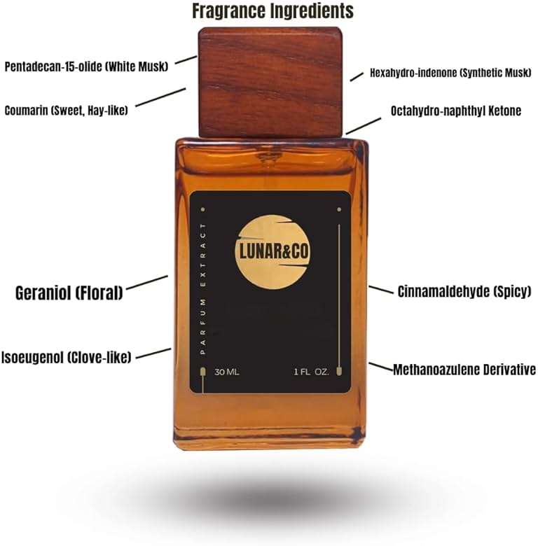 Meteoris Eau de Parfum – Floral, Woody & Elegant Top Notes | Unisex Fragrance 10ML - Image 2