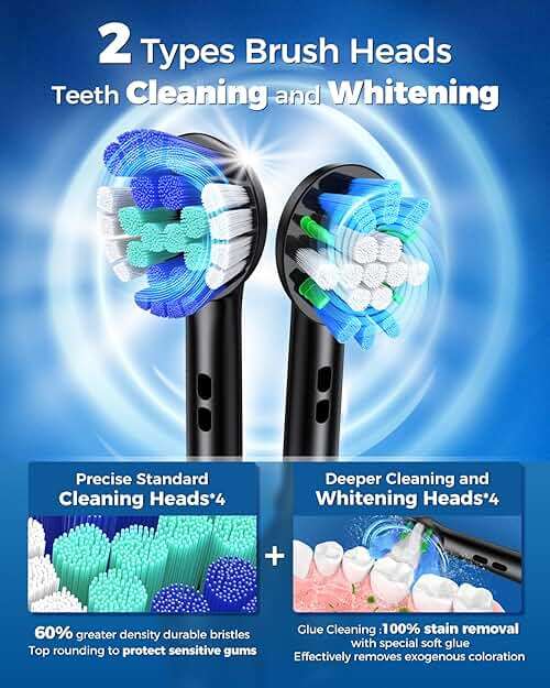 TEETHEORY Rotating Electric Toothbrush for Adults with 8 Brush Heads (2 Types), 4 Modes Deep Clean Electric Toothbrush with Rechargeable Power and 2 Min Smart Timer Black - Image 3
