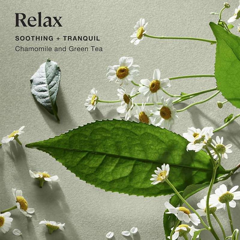 Sprig by Kohler Relax Aromatherapy Candle with Chamomile and Green Tea, 100% Natural Soy-Coconut Wax, Soothing and Tranquil Scent, Gift for Holidays, 8 oz - Image 2