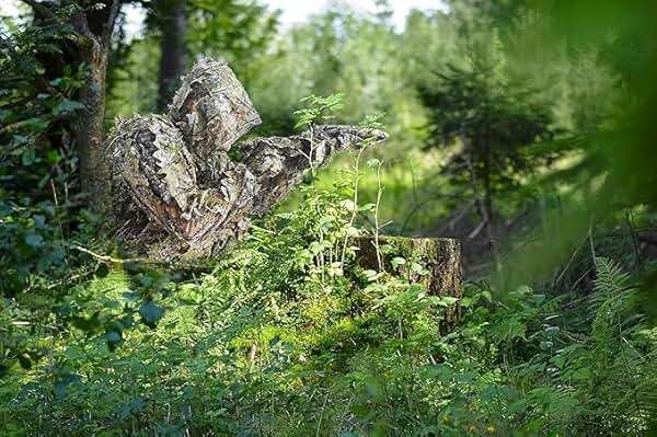 Ghillie Suit, Kids Adult 3D Leafy Camouflage Clothing, Camo Suit for Turkey Hunting, Hunting for Outdoor Game and Halloween - Image 5
