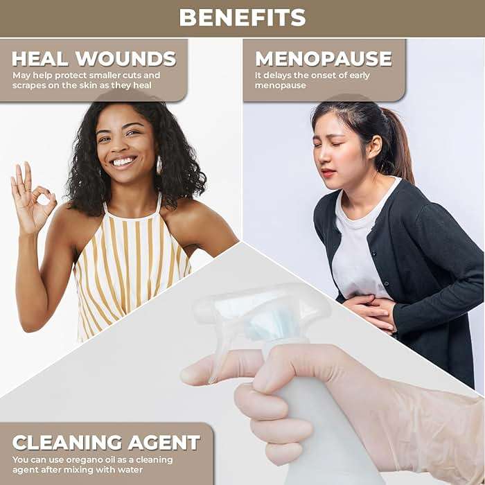 Plant Based Oregano Essential Oil - Oil of Oregano Drops for Skin & Hair Care | Reduce Itchiness & Redness | Plant Based, Gluten-Free - Natural Aromatherapy Oil for Diffusers - Image 4