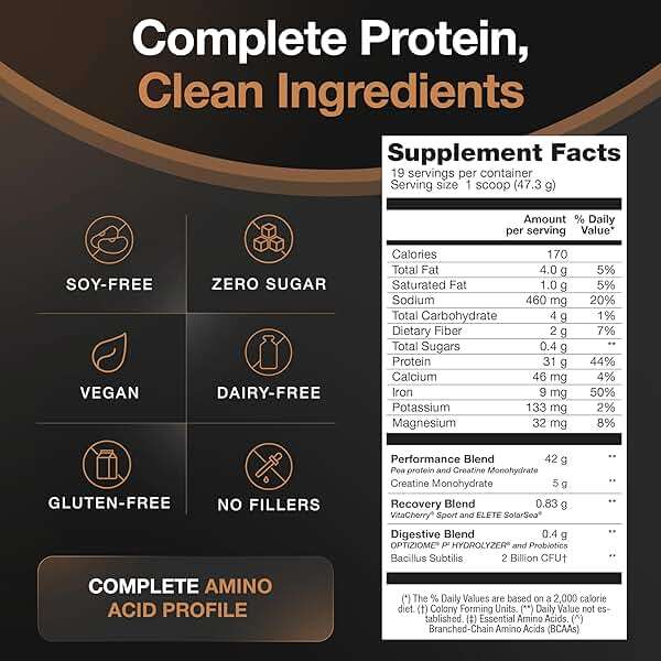 Birdman Falcon Performance Vegan Protein Powder, 31g Protein, 5g Creatine, 5g BCAA, Probiotics, Electrolytes, Pre Workout, Low Carb, Sugar Free & Dairy Free, Plant Based Chocolate Protein -19 servings - Image 4