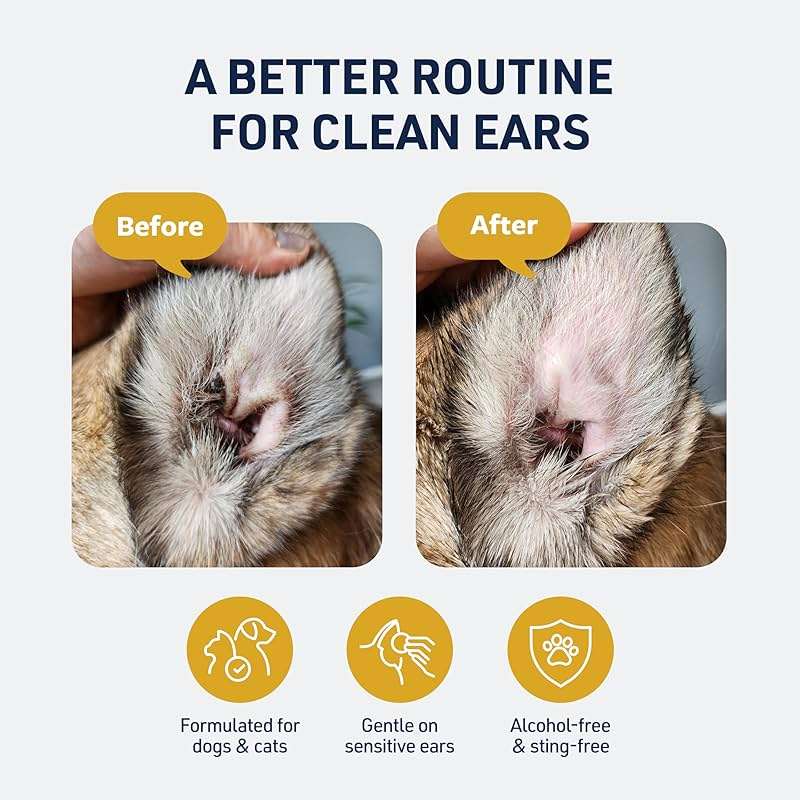 Veterinary Formula Clinical Care – Ear Therapy – Vet Recommended Ear Cleaner for Dogs & Cats that Helps Manage Stinky Buildup and Support Daily Health – 8 oz. - Image 2