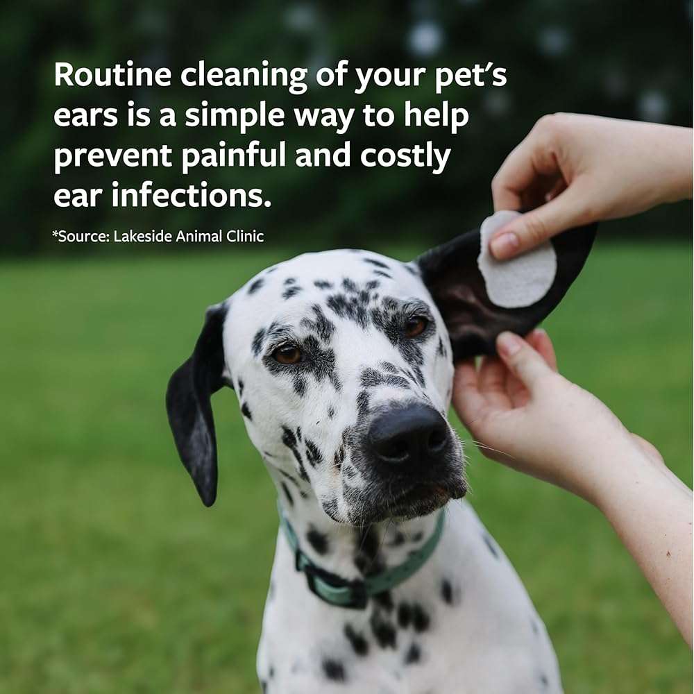 Veterinary Formula Clinical Care – Ear Therapy – Vet Recommended Ear Cleaner for Dogs & Cats that Helps Manage Stinky Buildup and Support Daily Health – 8 oz. - Image 5