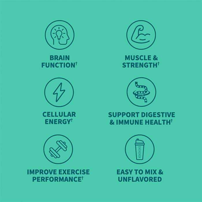 Creatine Monohydrate Powder for Women and Men by Garden of Life, Micronized Pre Workout with Probiotics for Muscle, Strength, Performance, Sport Amino Energy, About 60 Easy to Mix Unflavored Servings - Image 3