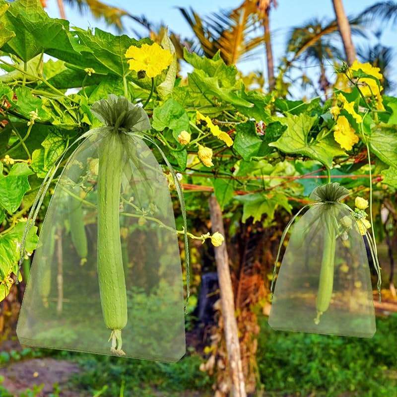 Unves 12 x 16 Inch Fruit Protection Bags, Garden Mesh Bags for Vegetables Fruits Covers, Drawstring Mesh Fruit Netting Bag for Banana Grape Pepper Garden Supplies, Green, 50 Pcs - Image 2