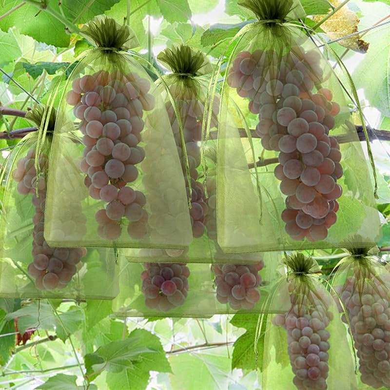 Unves 12 x 16 Inch Fruit Protection Bags, Garden Mesh Bags for Vegetables Fruits Covers, Drawstring Mesh Fruit Netting Bag for Banana Grape Pepper Garden Supplies, Green, 50 Pcs - Image 6