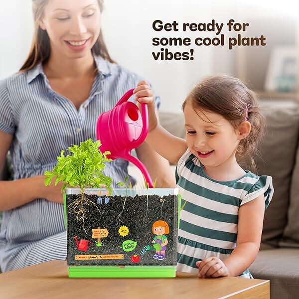 Dan&Darci Root Viewer Kit for Kids - Grow Your Own Plant for Boys & Girls Gifts - Science STEM Toy & Craft Growing Kits for Ages 4-8 Birthday Gifts for Boy, Girl 4, 5, 6, 7, 8, Year Old - Image 6