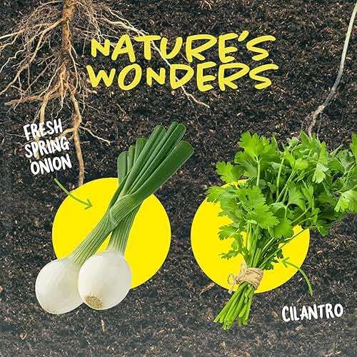 Dan&Darci Root Viewer Kit for Kids - Grow Your Own Plant for Boys & Girls Gifts - Science STEM Toy & Craft Growing Kits for Ages 4-8 Birthday Gifts for Boy, Girl 4, 5, 6, 7, 8, Year Old - Image 8