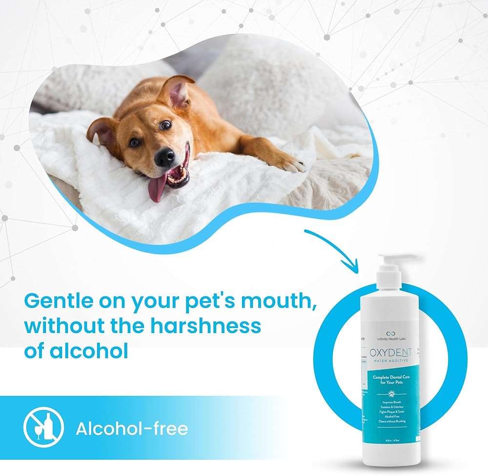 Infinite Health Labs Oxydent Premium Pet Dental Care Solution - Pet Water Additive & Mouthwash for Teeth Cleaning - Eliminate Bad Dog & Cat Bad Breath - Dog Dental Rinse - Fights Tartar & Plaque - Image 5