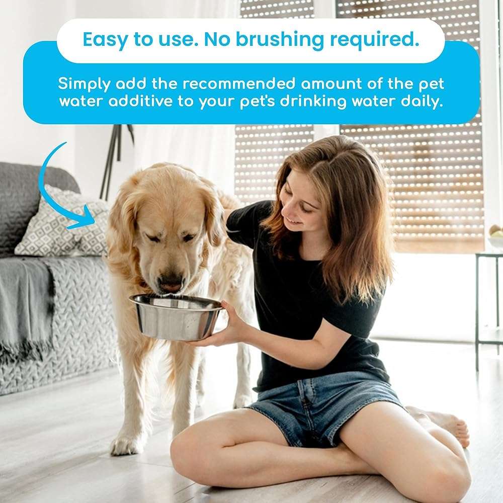 Infinite Health Labs Oxydent Premium Pet Dental Care Solution - Pet Water Additive & Mouthwash for Teeth Cleaning - Eliminate Bad Dog & Cat Bad Breath - Dog Dental Rinse - Fights Tartar & Plaque - Image 6