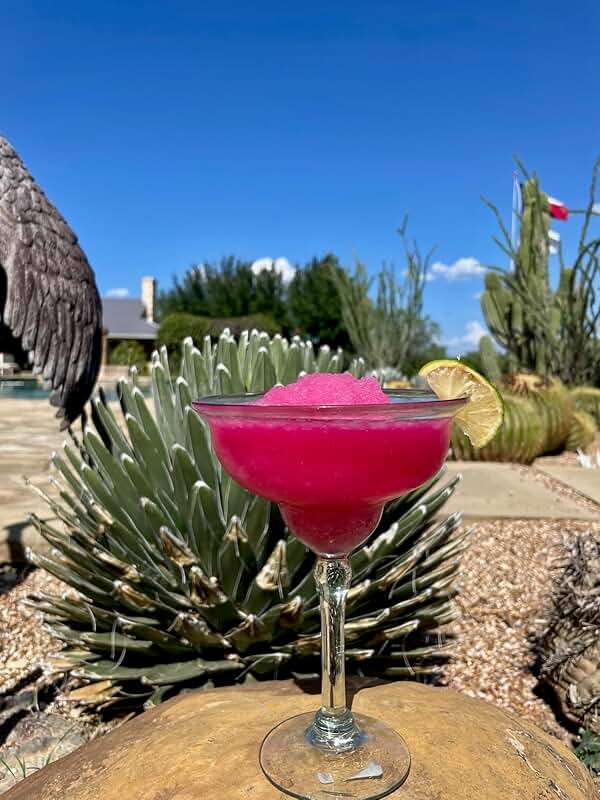 Brushfire Farms Prickly Pear Simple Syrup, 40 Fl Oz (Pack of 1) - Image 5