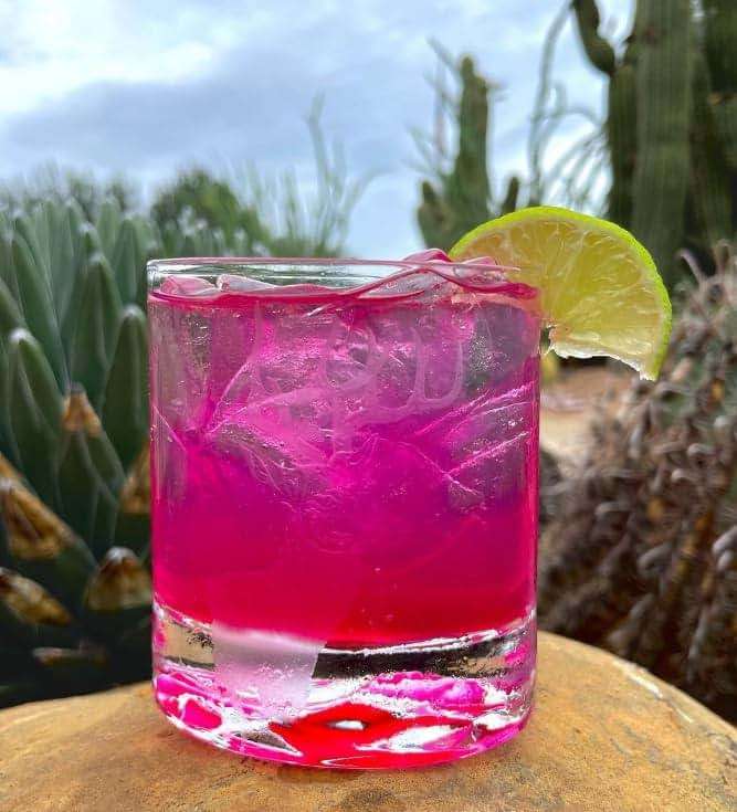 Brushfire Farms Prickly Pear Simple Syrup, 40 Fl Oz (Pack of 1) - Image 6
