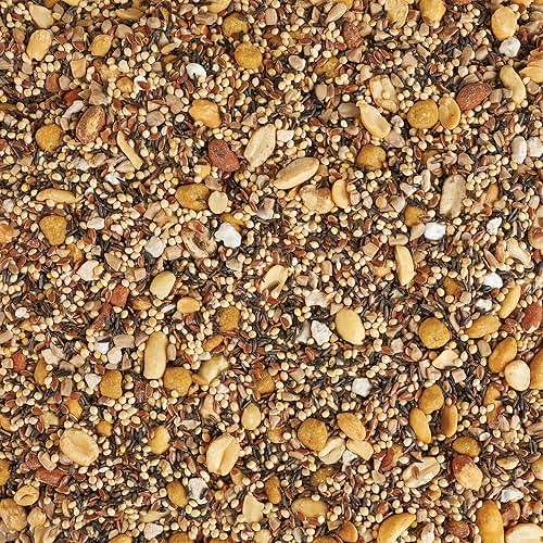 Kaytee Wild Bird Food, Summer Nesting Seed Blend, 8 lb - Image 11