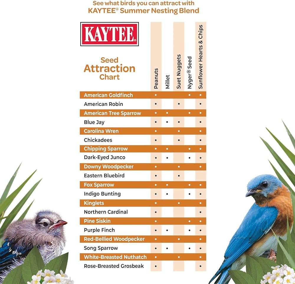 Kaytee Wild Bird Food, Summer Nesting Seed Blend, 8 lb - Image 4