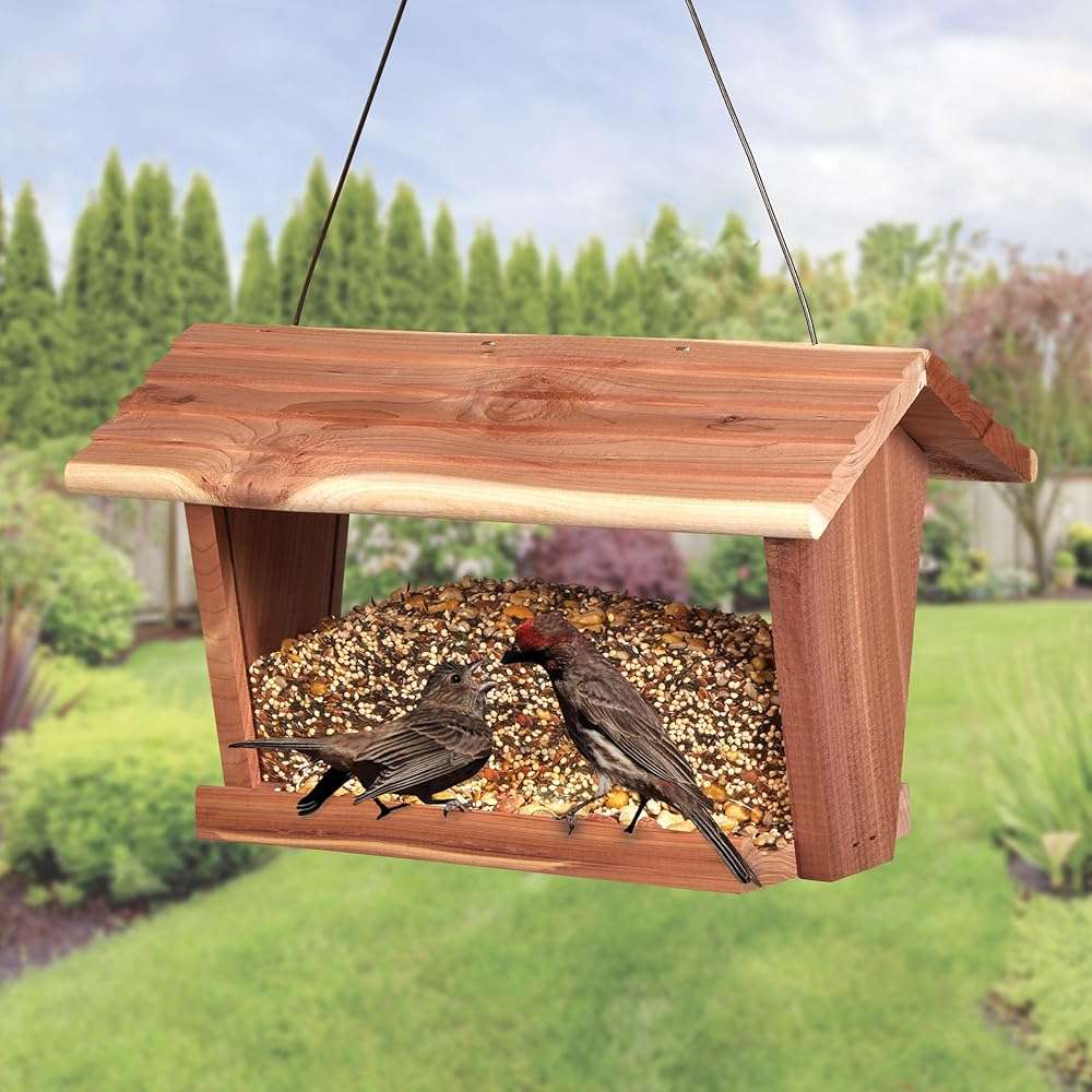 Kaytee Wild Bird Food, Summer Nesting Seed Blend, 8 lb - Image 10