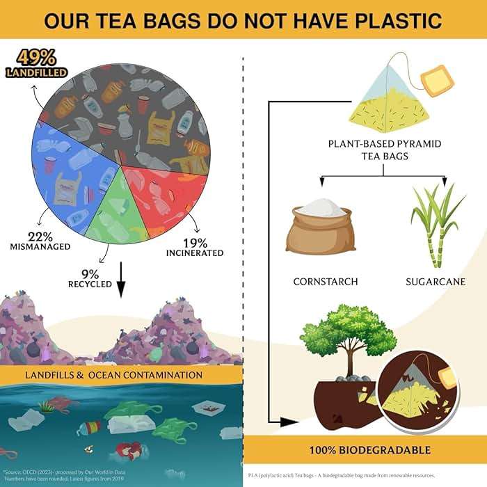 BREWIX, Turmeric Ginger Herbal Tea Bags (50 Pyramid Tea Bags) Caffeine-Free Ayurvedic Blend for Daily Wellness & Immune Balance | Daily Wellness Ritual | Gluten Free | Real Ingredients From India - Image 3