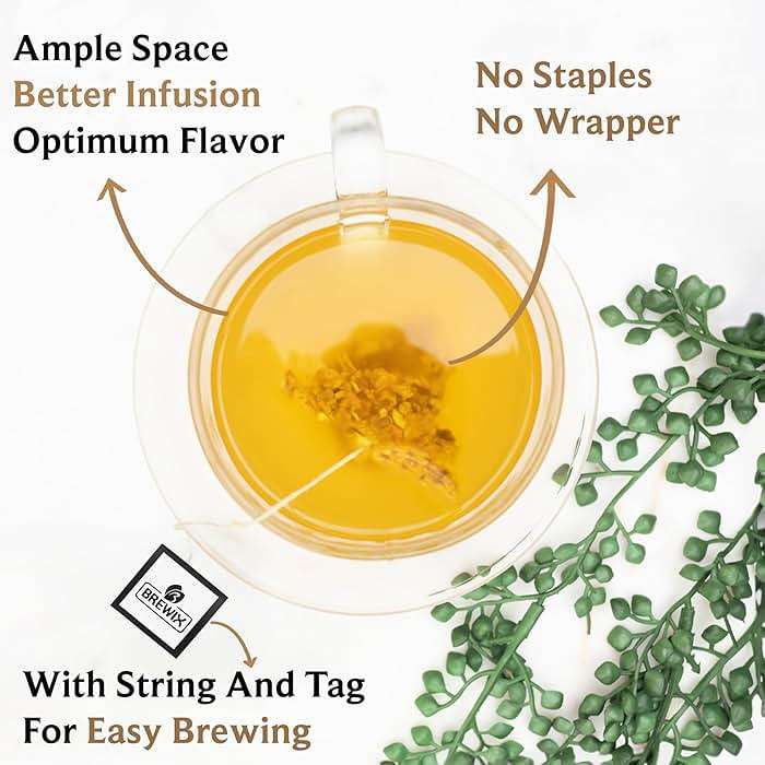 BREWIX, Turmeric Ginger Herbal Tea Bags (50 Pyramid Tea Bags) Caffeine-Free Ayurvedic Blend for Daily Wellness & Immune Balance | Daily Wellness Ritual | Gluten Free | Real Ingredients From India - Image 6