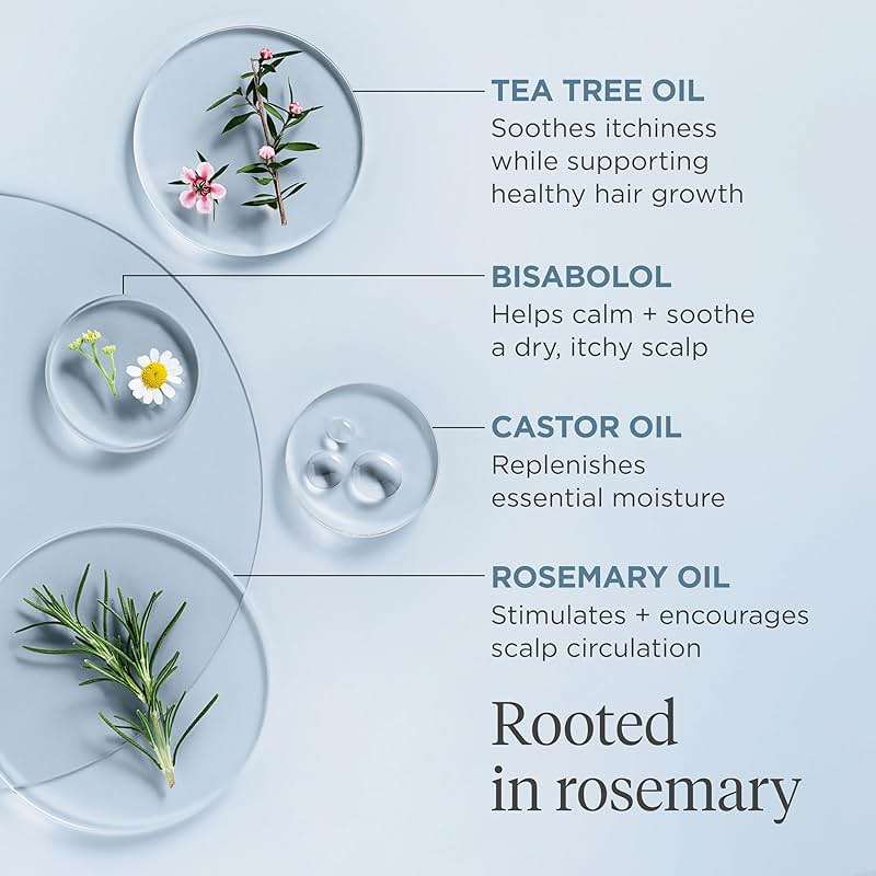 Briogeo Scalp Revival Rosemary Pre-Wash Oil | Moisturizing Scalp Treatment for Dry, Flaky, or Itchy Scalp | Strengthens Hair & Soothes Scalp | Vegan & Cruelty-Free - Image 5