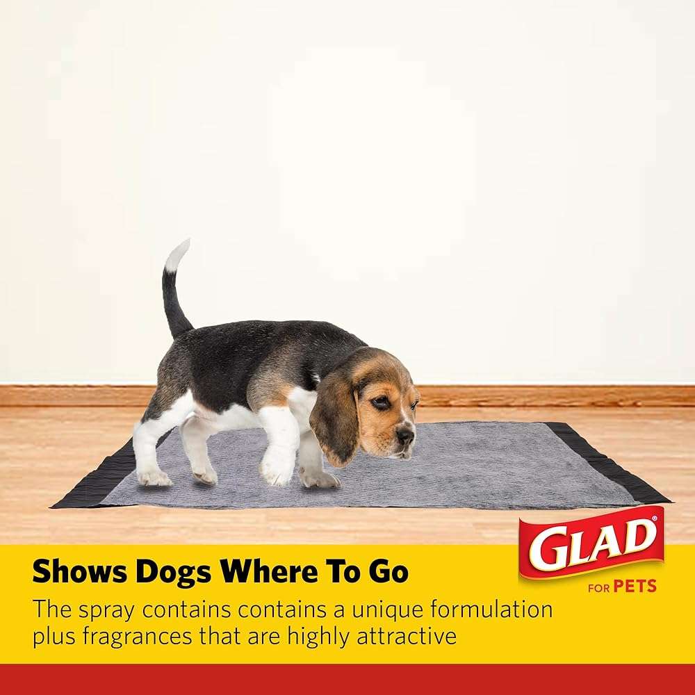 Glad for Pets Attractant Spray for Potty Training Dogs and Puppies, Peanut Butter Scent, Pheromone Attractant Encourages Marking in Designated Areas, Indoor and Outdoor Use, 16 Fl Oz - Image 4