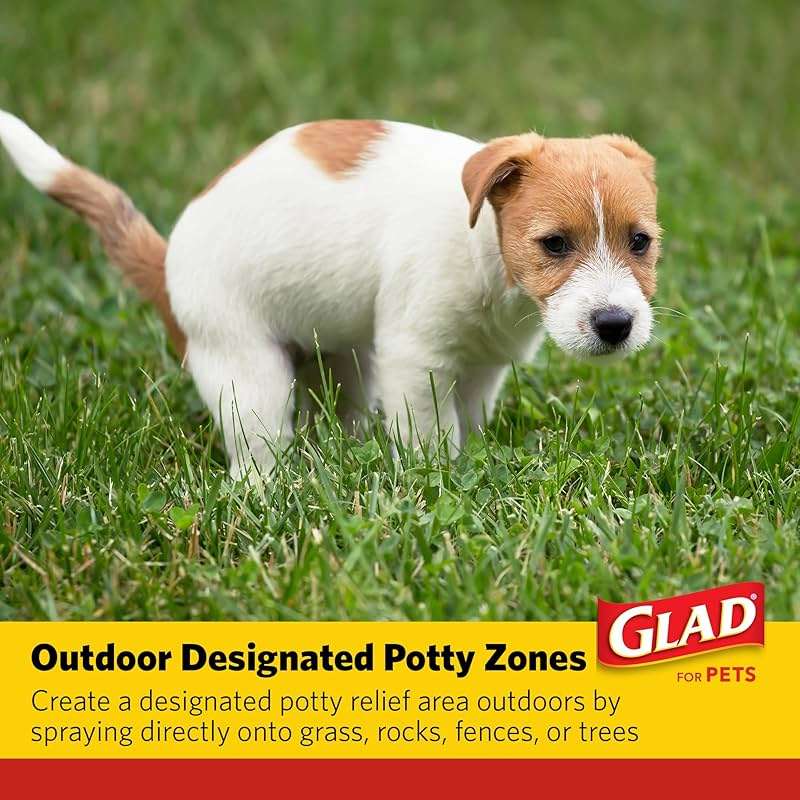 Glad for Pets Attractant Spray for Potty Training Dogs and Puppies, Peanut Butter Scent, Pheromone Attractant Encourages Marking in Designated Areas, Indoor and Outdoor Use, 16 Fl Oz - Image 7