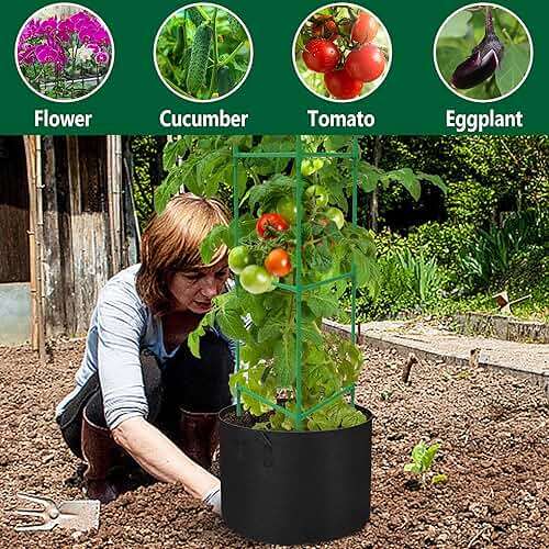 4 Packs 47 x 12 Inch Garden Tomato Cages with Grow Bags- Triangle Plant Support Trellis Assembled with Planter Bags- Garden Cucumber Vegetables Frames for Vertical Climbing Plants - Image 5
