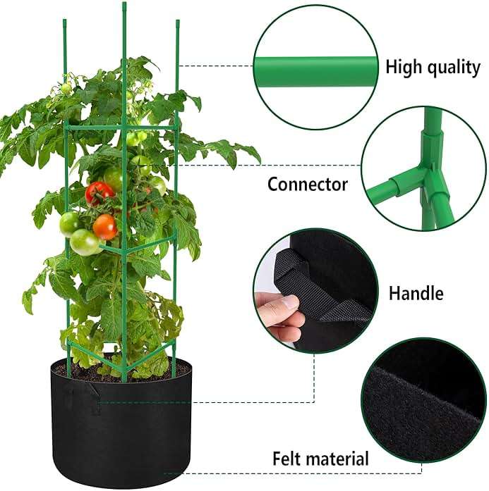 4 Packs 47 x 12 Inch Garden Tomato Cages with Grow Bags- Triangle Plant Support Trellis Assembled with Planter Bags- Garden Cucumber Vegetables Frames for Vertical Climbing Plants - Image 6