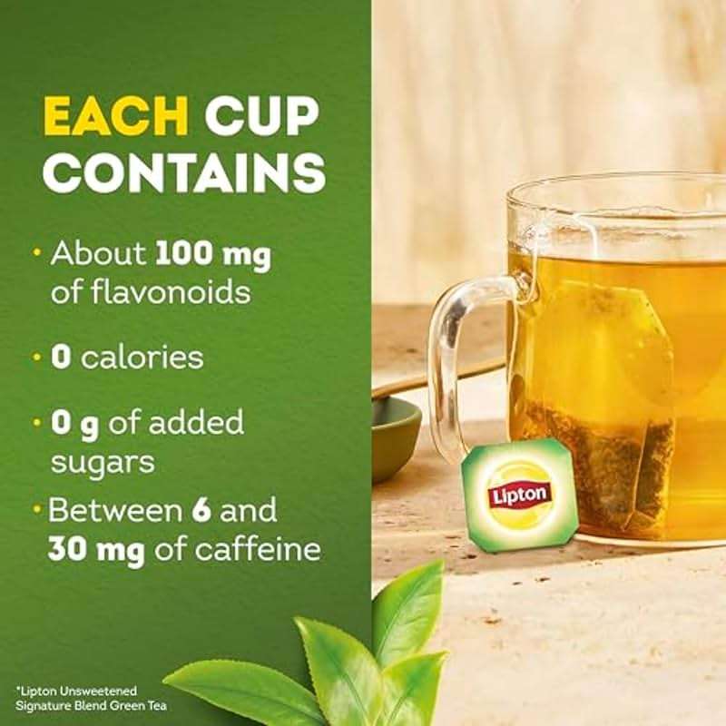 Lipton Signature Blend Green Tea with Jasmine 240-Count Tea Bags Hot or Iced Caffeinated Unsweetened Flavonoids Bioactives 40ct (6-Pack) for Tea Lovers Gift Set Specialty Tea - Image 9