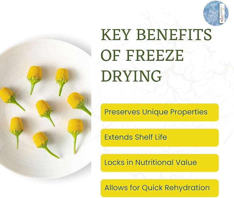 Buzz Buttons Edible Flowers For Cocktails | Grown In USA | Spilanthes | Freeze Dried Edible Flowers for Drinks | Szechuan Buttons | Edible Dried Flowers For Drink Garnish | .2oz Pouch - Image 8