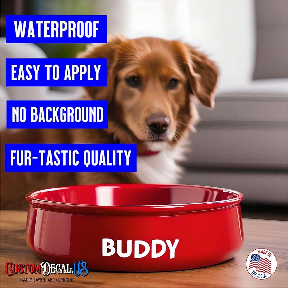 Personalized Custom Vinyl Lettering (Any Color, Any Size) for Business, Cars, Trucks, Boats, Marine, MC, DOT, Doors, Windows, Glass, Signs, Windshields, Letters, Numbers, Clipart, Image, Social Media, Decal, Bumper Stickers - Image 5