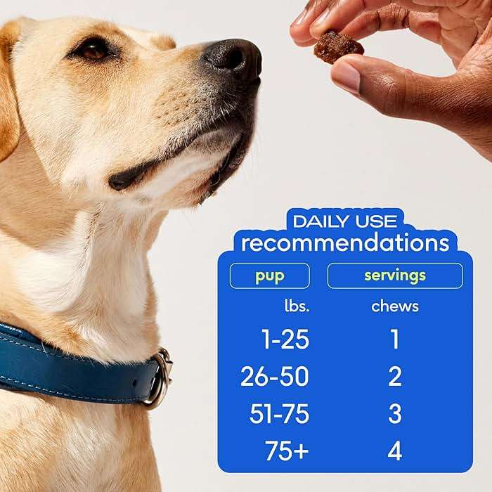 Native Pet Skin & Coat Chews - Omega 3 Fish Oil for Dogs Skin & Coat Supplement - Itch Relief, Shiny Fur & Shedding Support - Collagen, Hyaluronic Acid, Biotin, Probiotics & Salmon Oil - 60 Chews - Image 4