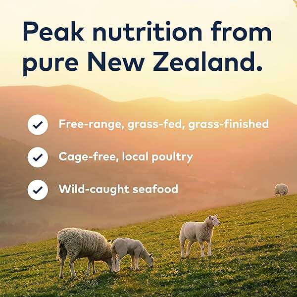 ZIWI Peak Steam & Dried Dog Food - Grass-fed Beef w/Pumpkin - High Protein, Low Carb, All Breeds & Lifestages, for Digestive Health (28.8oz) - Image 8