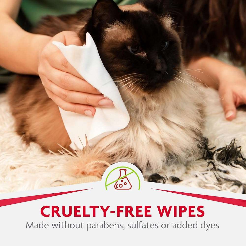 Furminator DeShedding Grooming Wipes for Cats Refresh and Deodorize Coat Without Bathing, 50 Count - Image 7