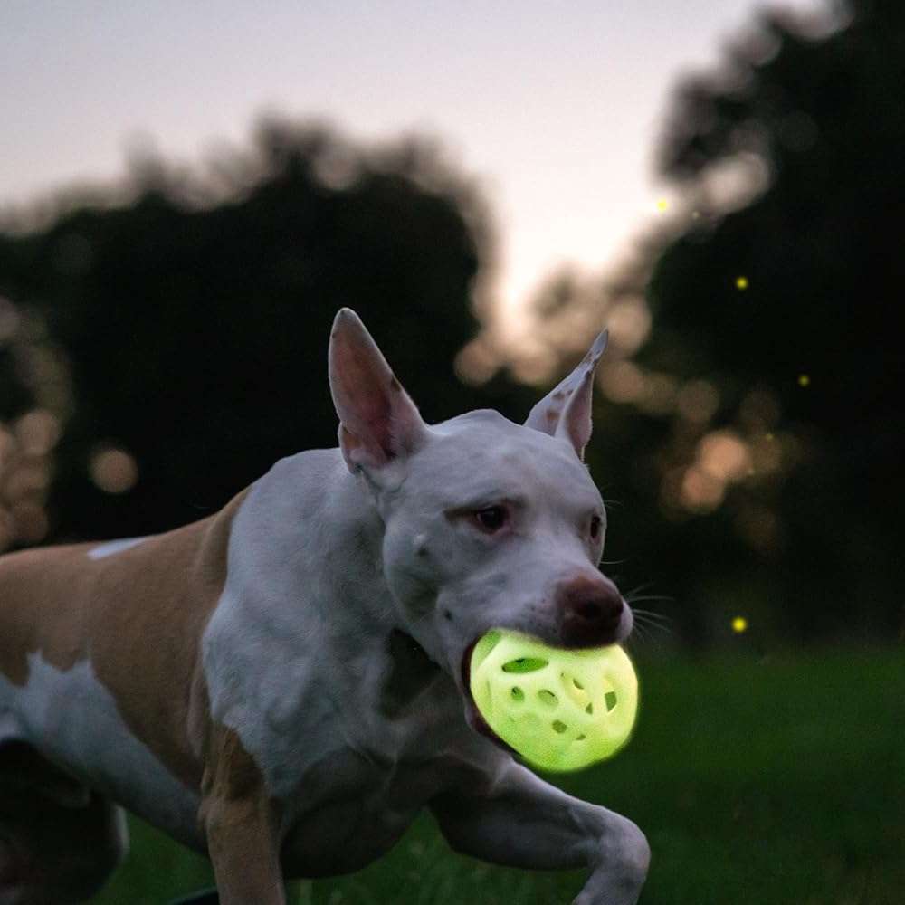 Chew King by Mammoth Glow-in-the-Dark Dog Fetch Balls (2-Pack), Lattice Rubber Fetch Toys for Night Play, High Bounce, Rechargeable Under Any Light, Large 4.5" - Image 3