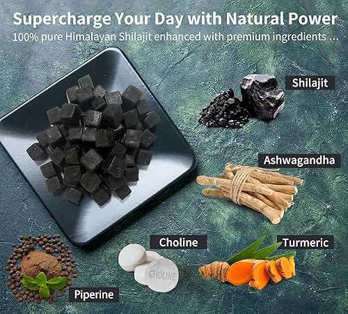 DLNIA 13-in-1 Shilajit Gummies with KSM-66® Ashwagandha | 4000 mg Himalayan Shilajit Extract (20:1), Choline & Botanicals | Sugar-Free, Vegan | Energy, Focus & Daily Vitality Support for Men & Women - Image 3