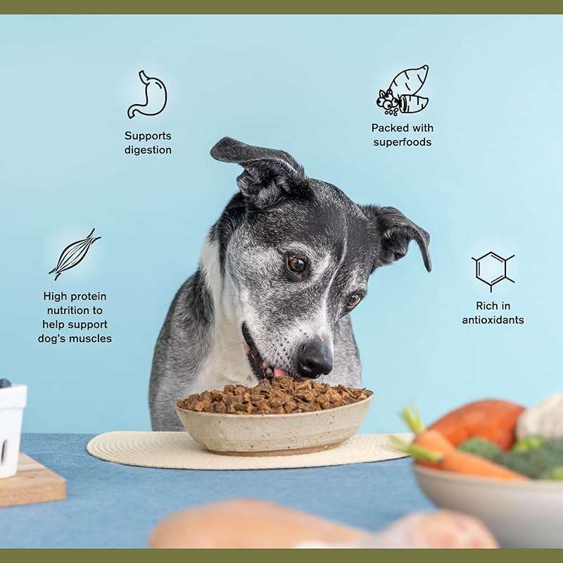 BADLANDS RANCH by Katherine Heigl – Superfood Complete Air-Dried Beef Dog Food – High Protein with Superfoods for Daily Wellness & Consistent Nutrition – 24 oz - Image 6