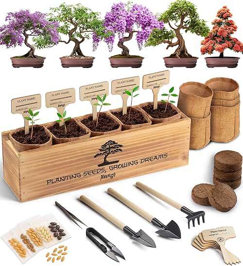 DIY Bonsai Tree Kit for Beginners – 5X Unique Japanese Bonzai Trees, Complete Indoor Bonsai Starter Kit for Growing Bonsai Plants w/Tools & Planters – DIY Christmas Gardening Gifts for Mom - Image 1