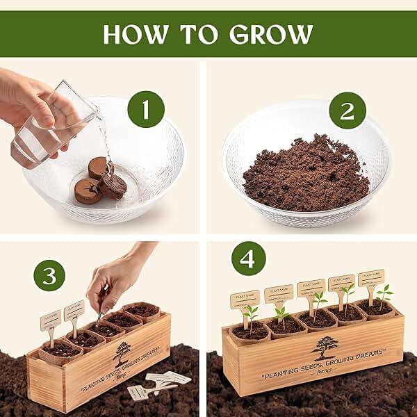 DIY Bonsai Tree Kit for Beginners – 5X Unique Japanese Bonzai Trees | Complete Indoor Bonsai Starter Kit for Growing Bonsai Plants with Tools & Planters – DIY Gardening Gifts for Women & Men - Image 3