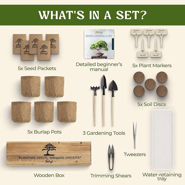 DIY Bonsai Tree Kit for Beginners – 5X Unique Japanese Bonzai Trees | Complete Indoor Bonsai Starter Kit for Growing Bonsai Plants with Tools & Planters – DIY Gardening Gifts for Women & Men - Image 6