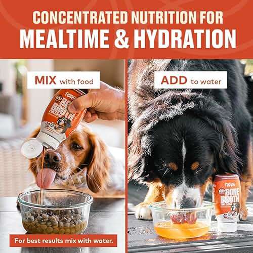 Beef Bone Broth Concentrate for Dogs - Collagen Protein Supplement - Digestion, Mobility, Coat, Immune System, Joints - Healthy Dog Food Gravy Topper - Human Grade, Made in USA (12 oz, 20 Servings) - Image 4