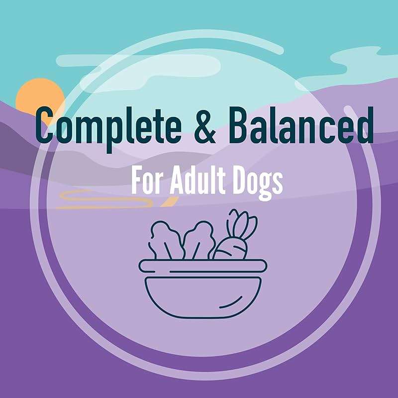 A Strong Heart Wet Dog Food, Cuts in Gravy with Beef — 13.2 oz Cans (Pack of 12), Complete & Balanced, All Life Stages, Made in USA - Image 9